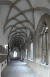 Ehem. Chorherrenstift u.-kirche St. Peter und Paul IV